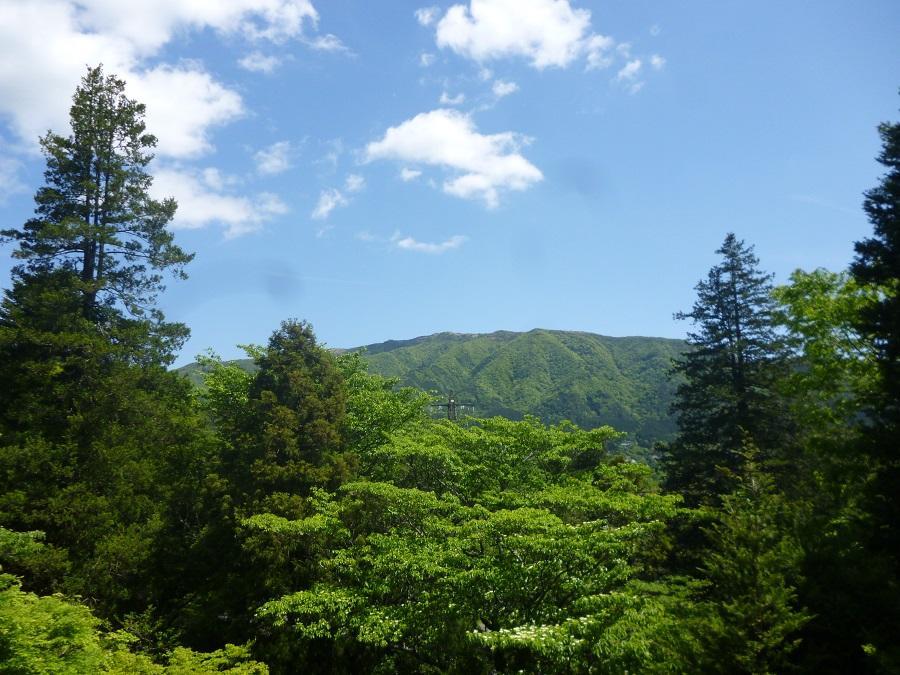 Kaze No Ne Hotel Hakone Exterior photo